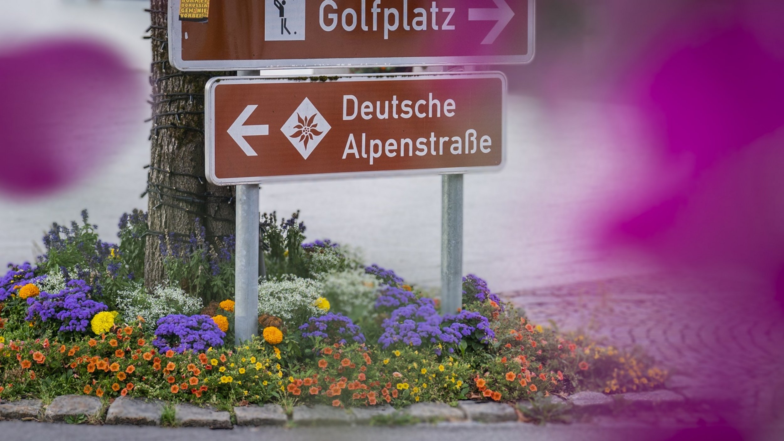Sign and logo of the German Alpine Road