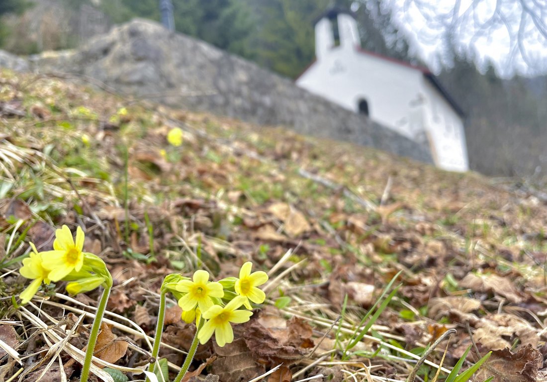 Frühling am Evang. Bergkirchlein Reit im Winkl