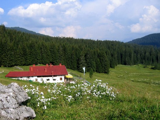 Traunsteiner Hütte Winklmoos - Alm