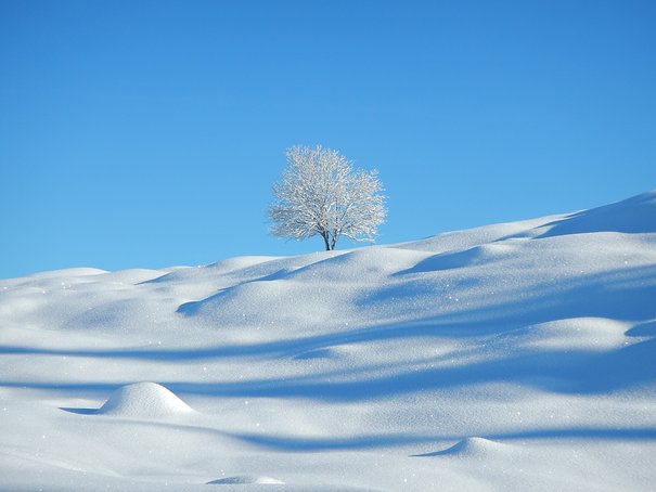 unberührte Schneelandschaft