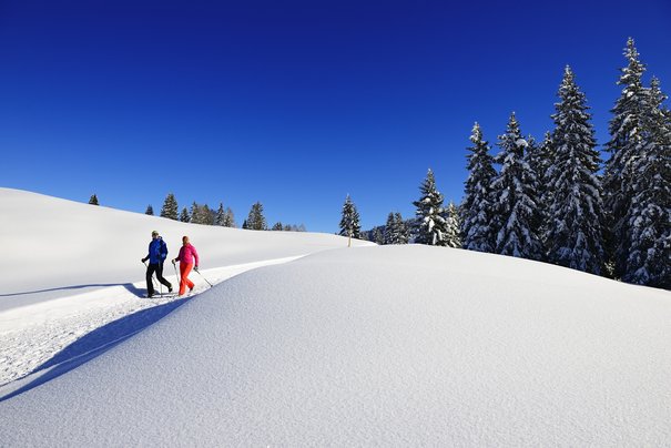 Hemmersuppenalm winter hiking trail