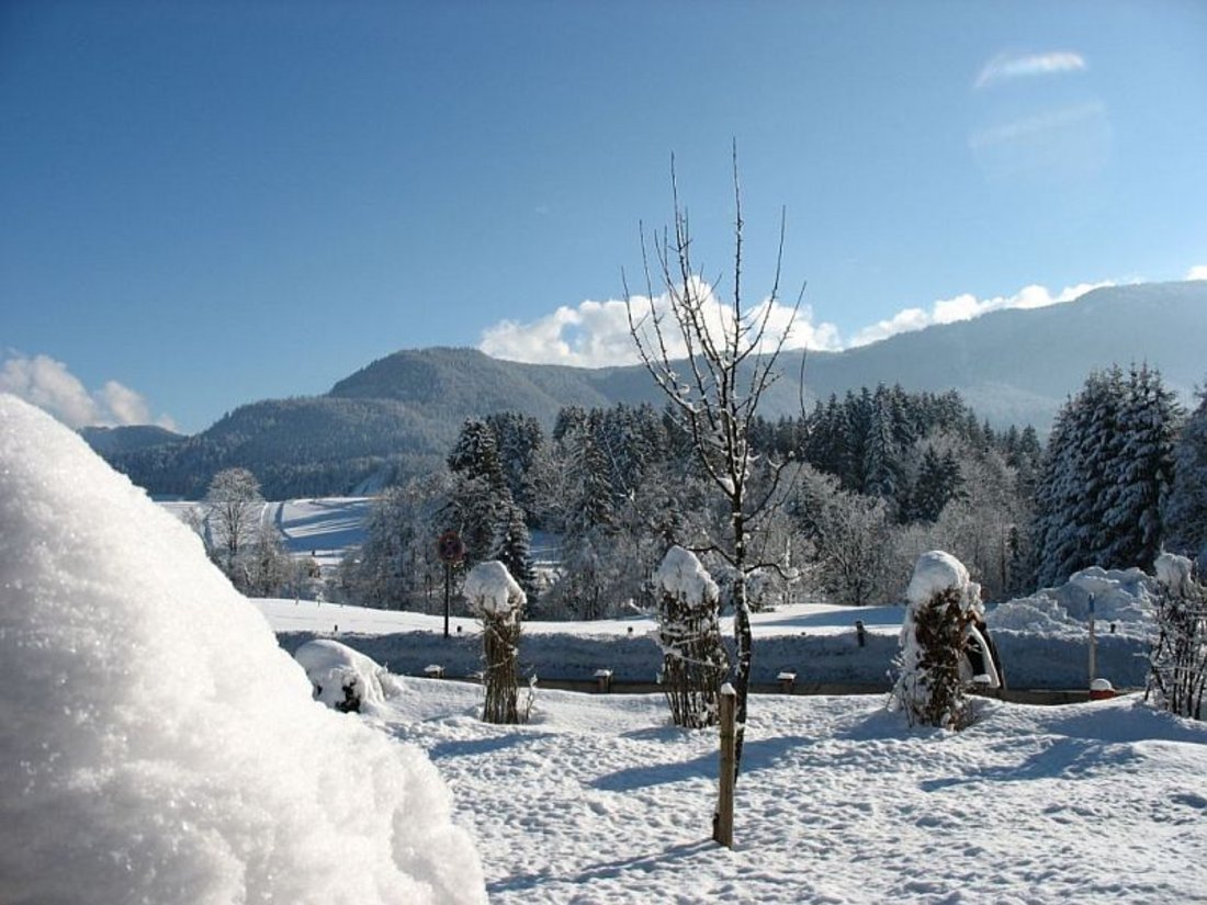 Winterlandschaft Haus Bergidyll