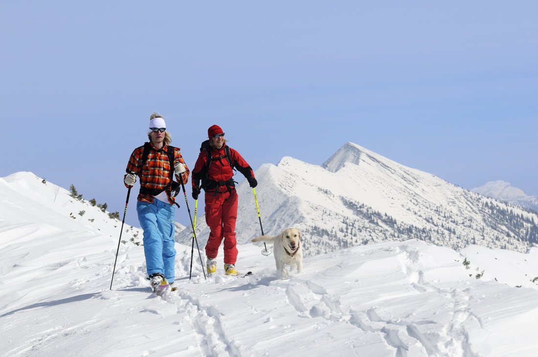 Skitour in den Chiemgauer Alpen mit Hund
