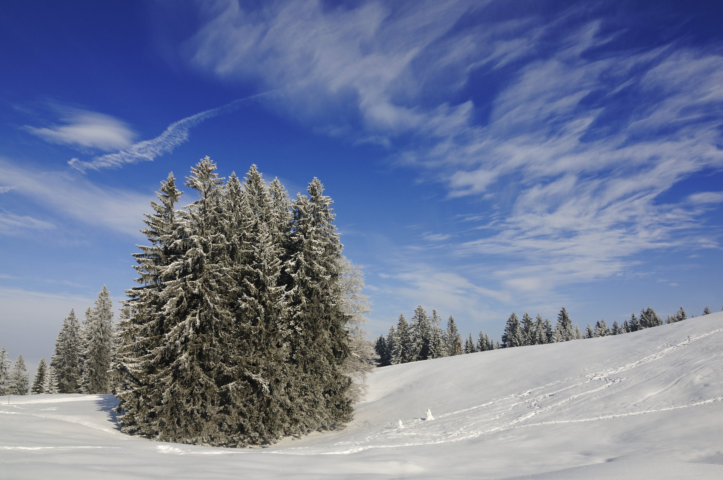 Winter landscape at the Hemmersuppenalm