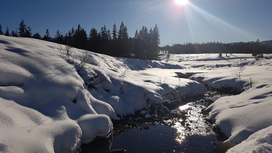 Sonne und Schnee auf der Winklmoos-Alm