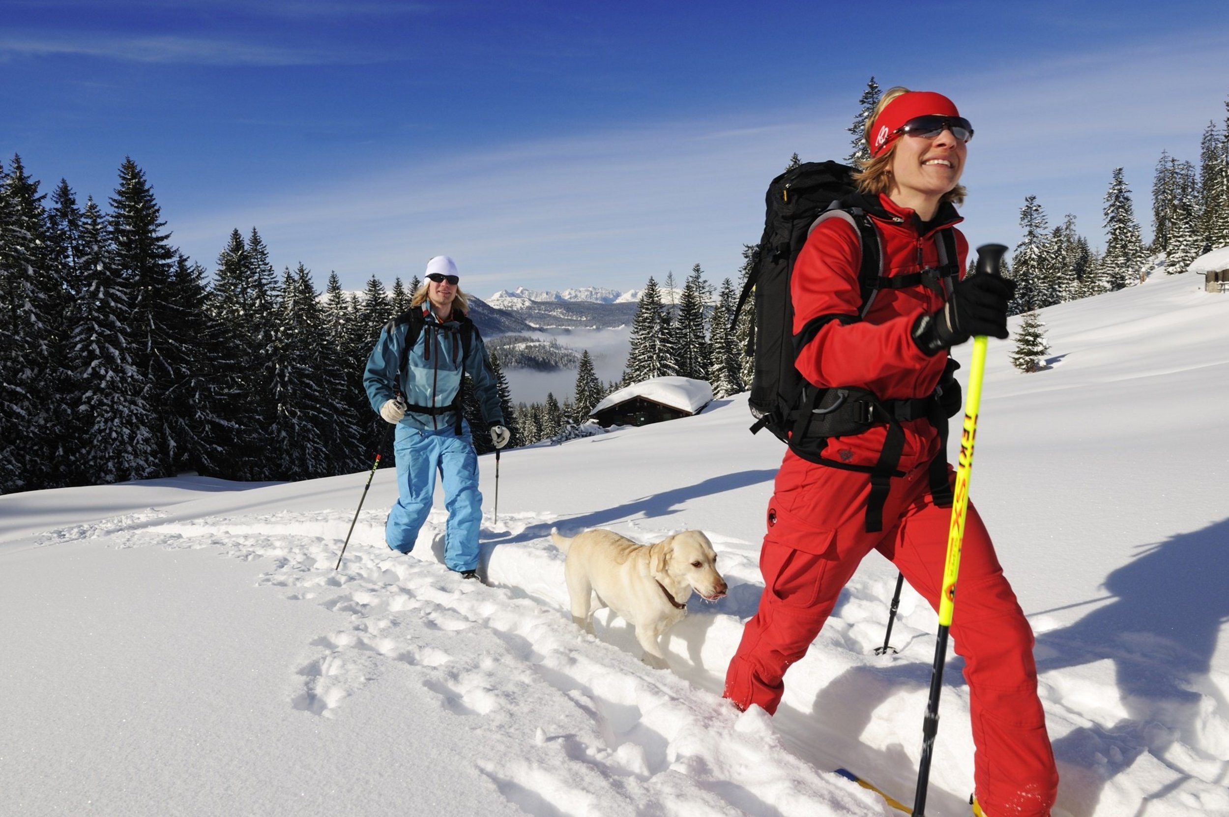 Backcountry skiing in Reit im Winkl