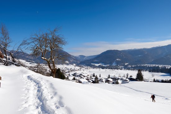 Blick auf den Ortsteil Birnbach Winter