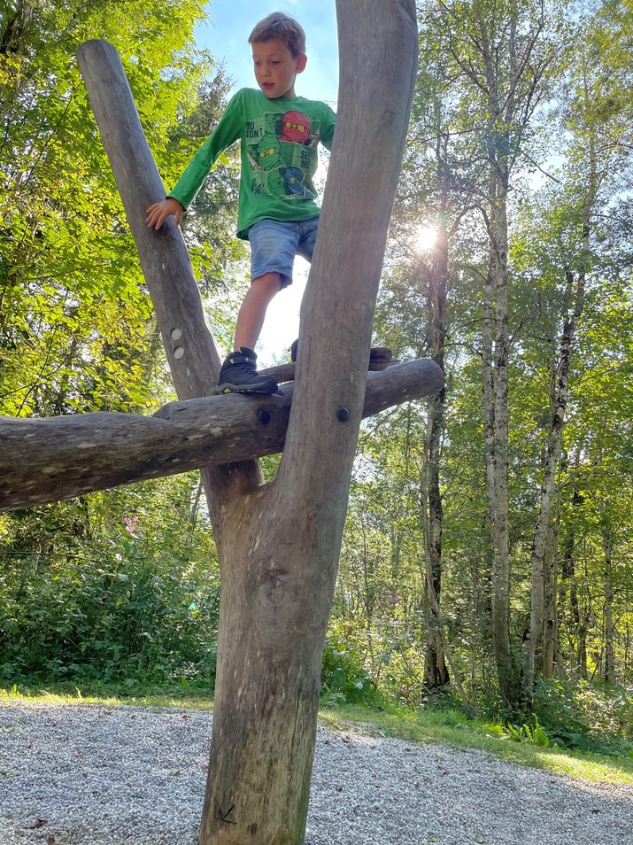 Kids' hiking trail Climbing Tree
