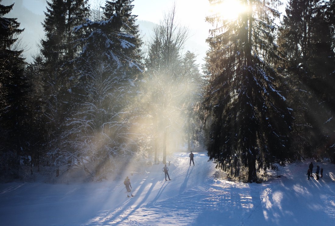 Im Winter liegt euch eine 200 km bestens präparierte Langlauf-Loipe zu Füßen. Der Einstieg ist 150 m von Haus entfernt.
