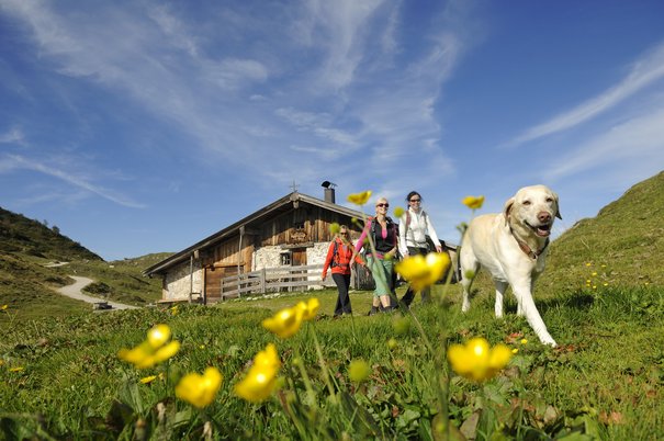 Holidays with your dog in Reit im Winkl