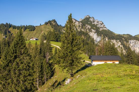 Blick Hochalm Kampenwand