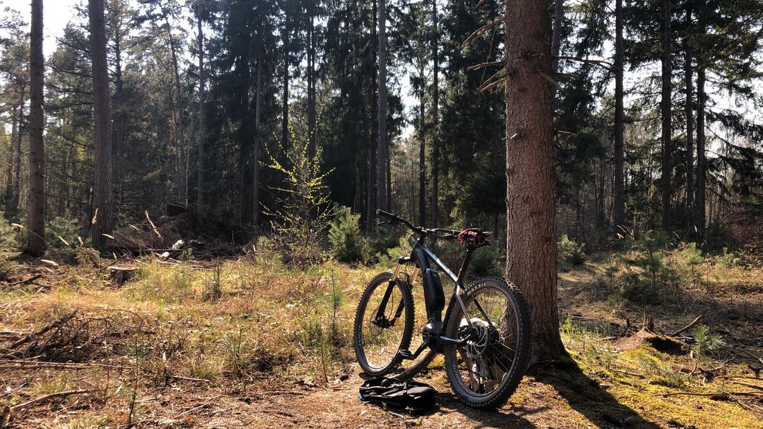 Bike im Chiemgauer Wald