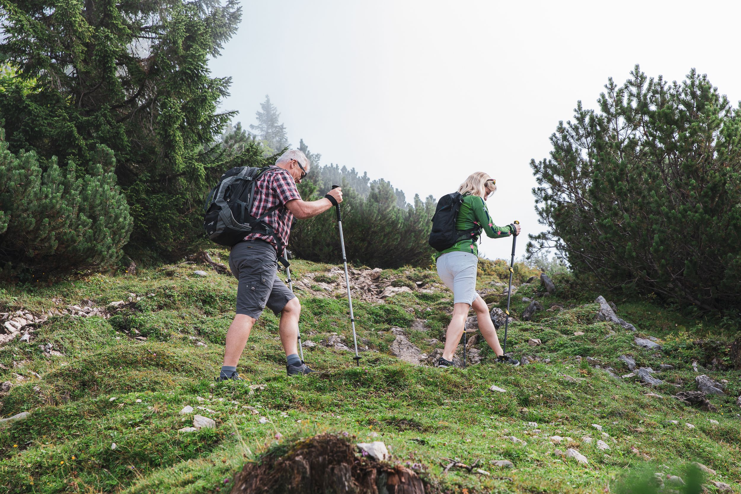 Wandergruppe auf dem Weg zum Dürrnbachhorn