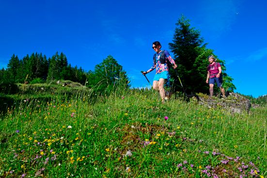 Kräuterwanderung