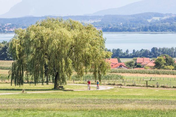 Waginger See Rundweg