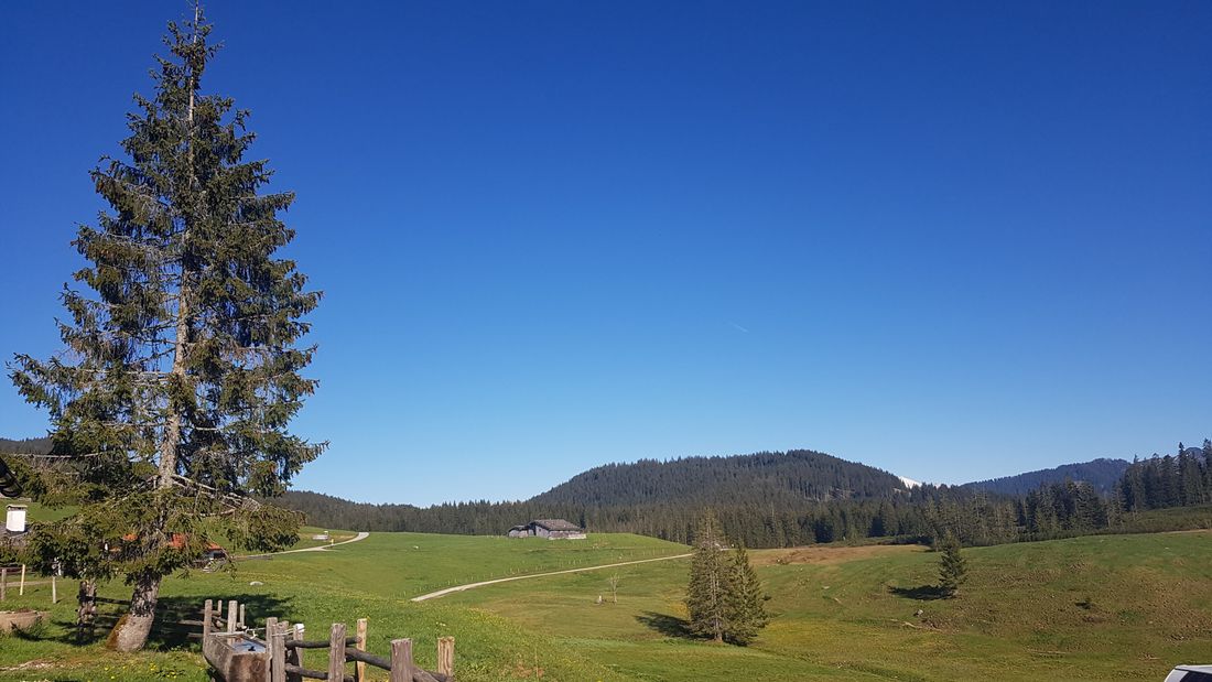Winklmoos - Alm