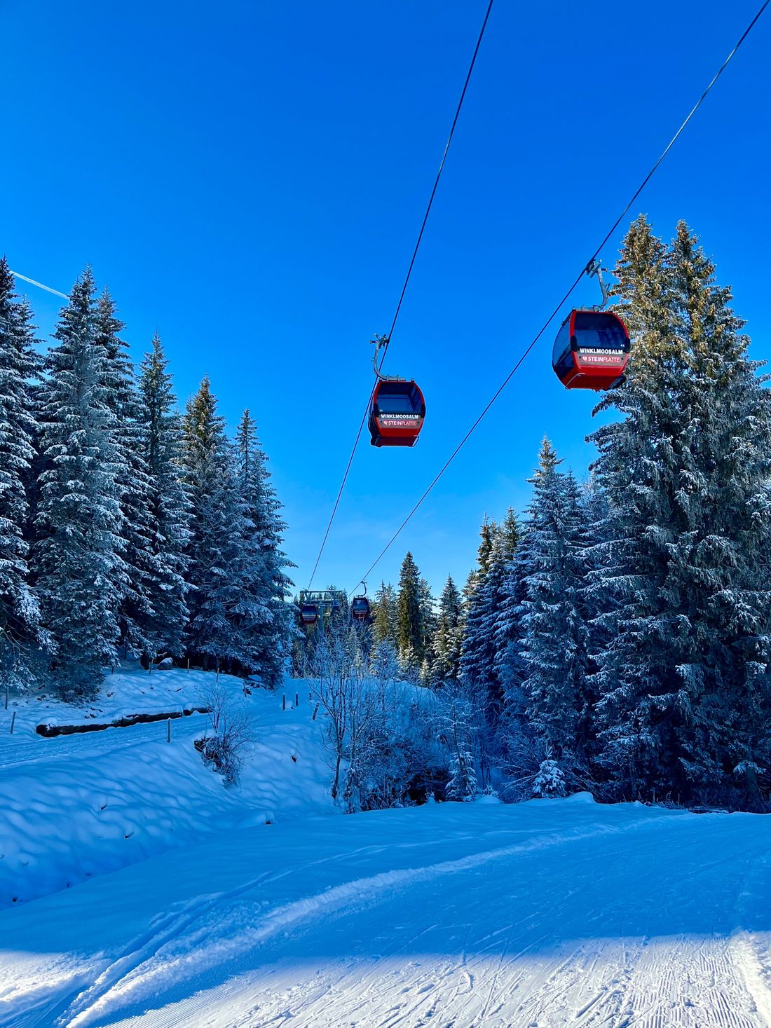 Skige