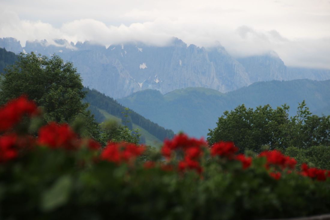 Wilder Kaiser