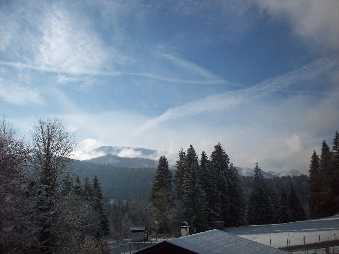 der Ausblick in die Natur