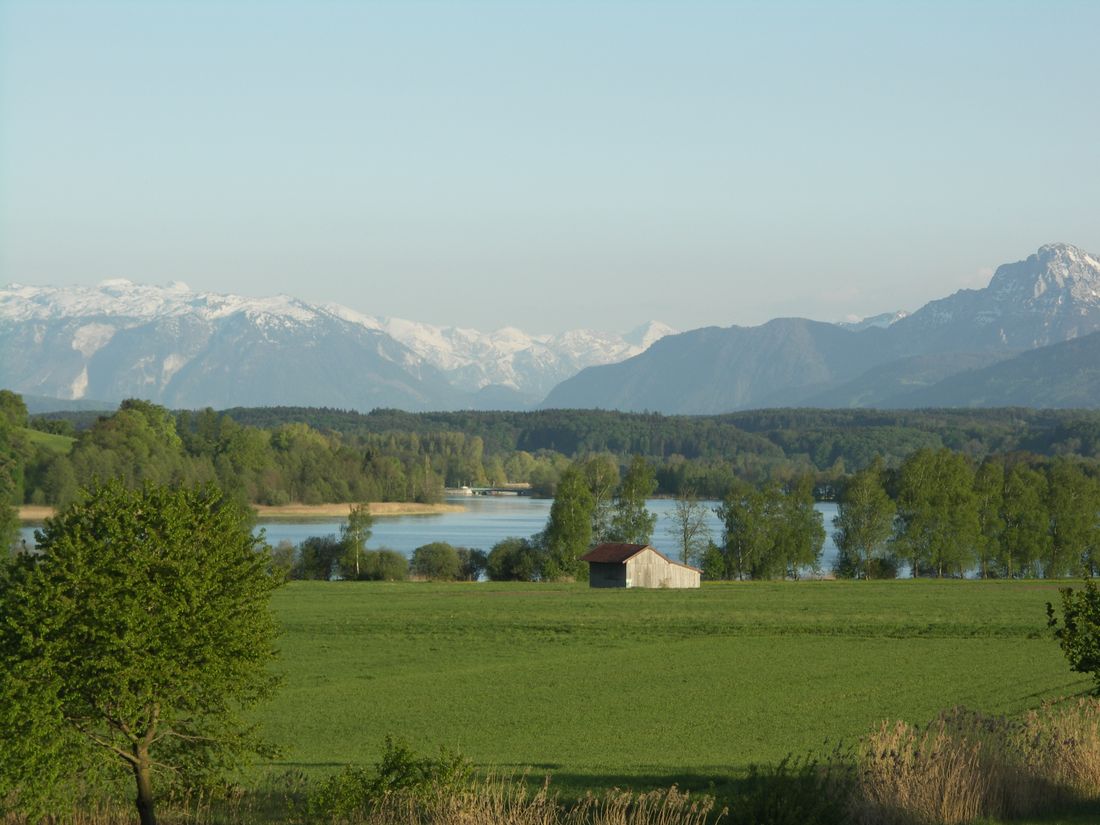 tachingersee