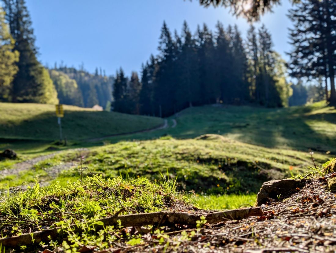 Chiemseeblick Wanderweg