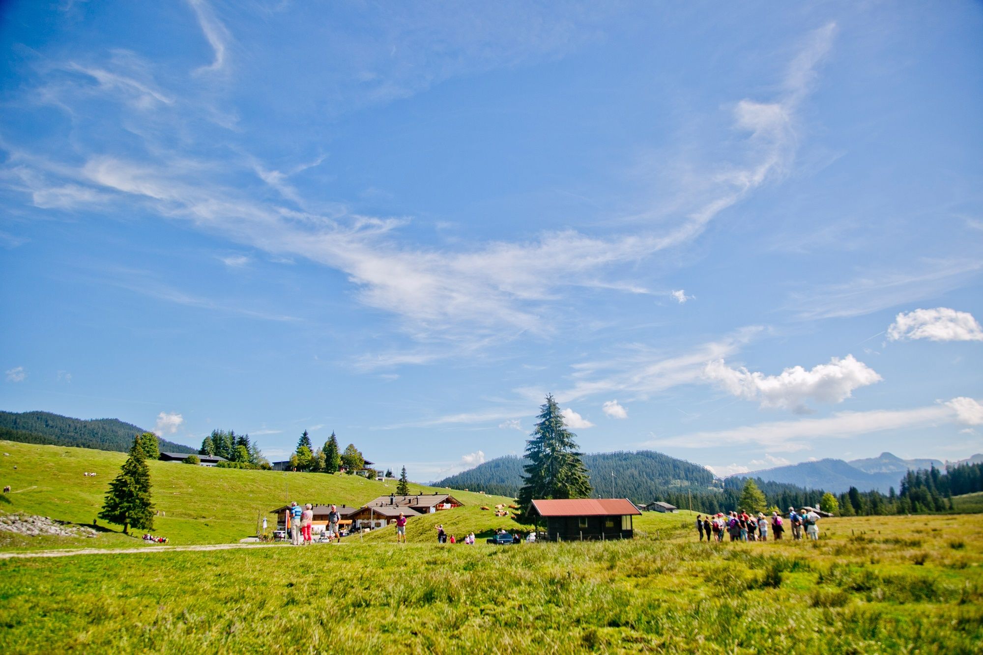 Almumtrieb Winklmoos-Alm