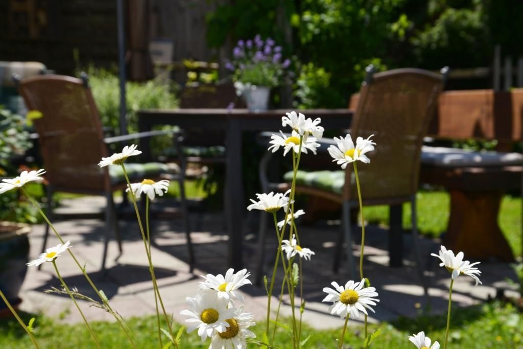 Terrasse im Sommer