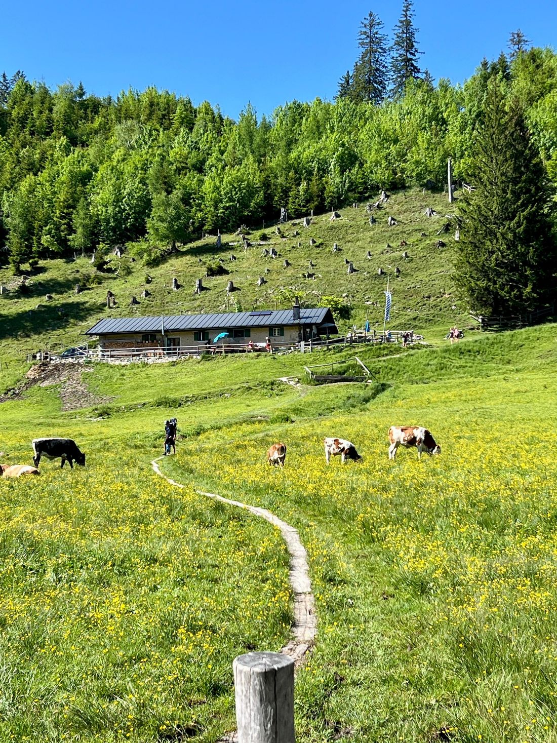 Vorderalm