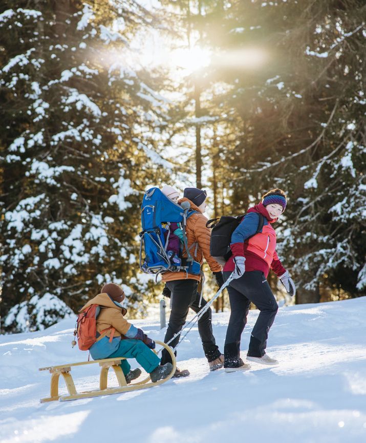 Mit dem Schlitten auf der Hemmersuppenalm