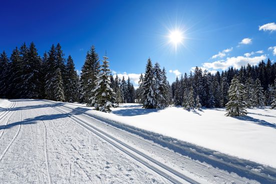 Winterlandschaft Winklmoos-Alm