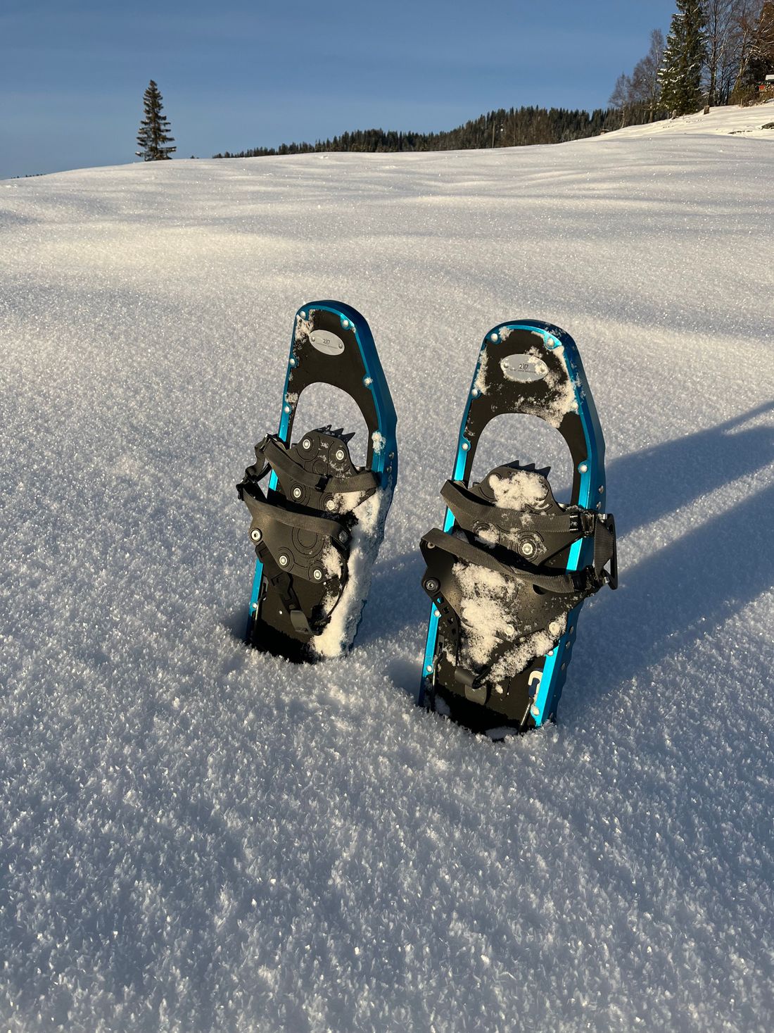 Schneeschuh-Touren