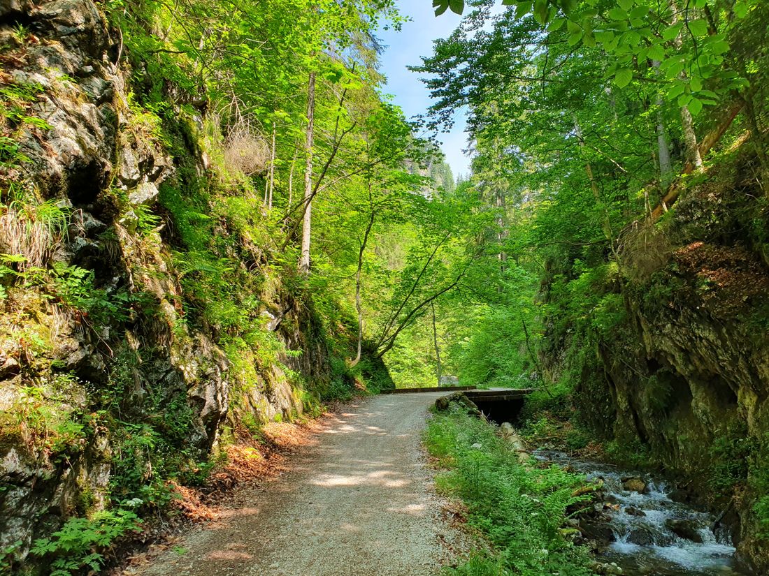 Wappbach Röthelmoos