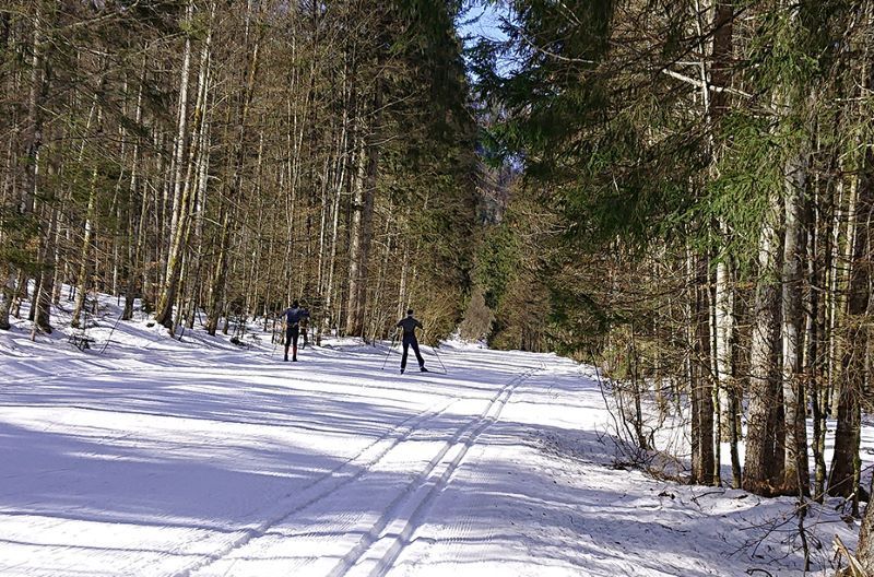 Langlauf- Winter