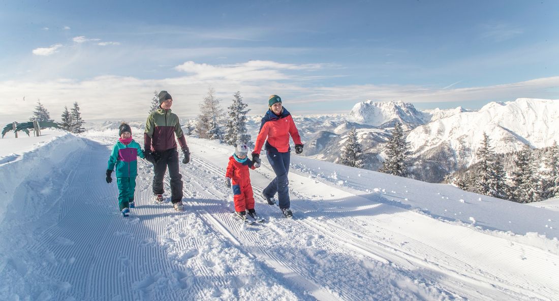 Skigebiet Steinplatte Winklmoosalm (c) Defrancesco  (4)