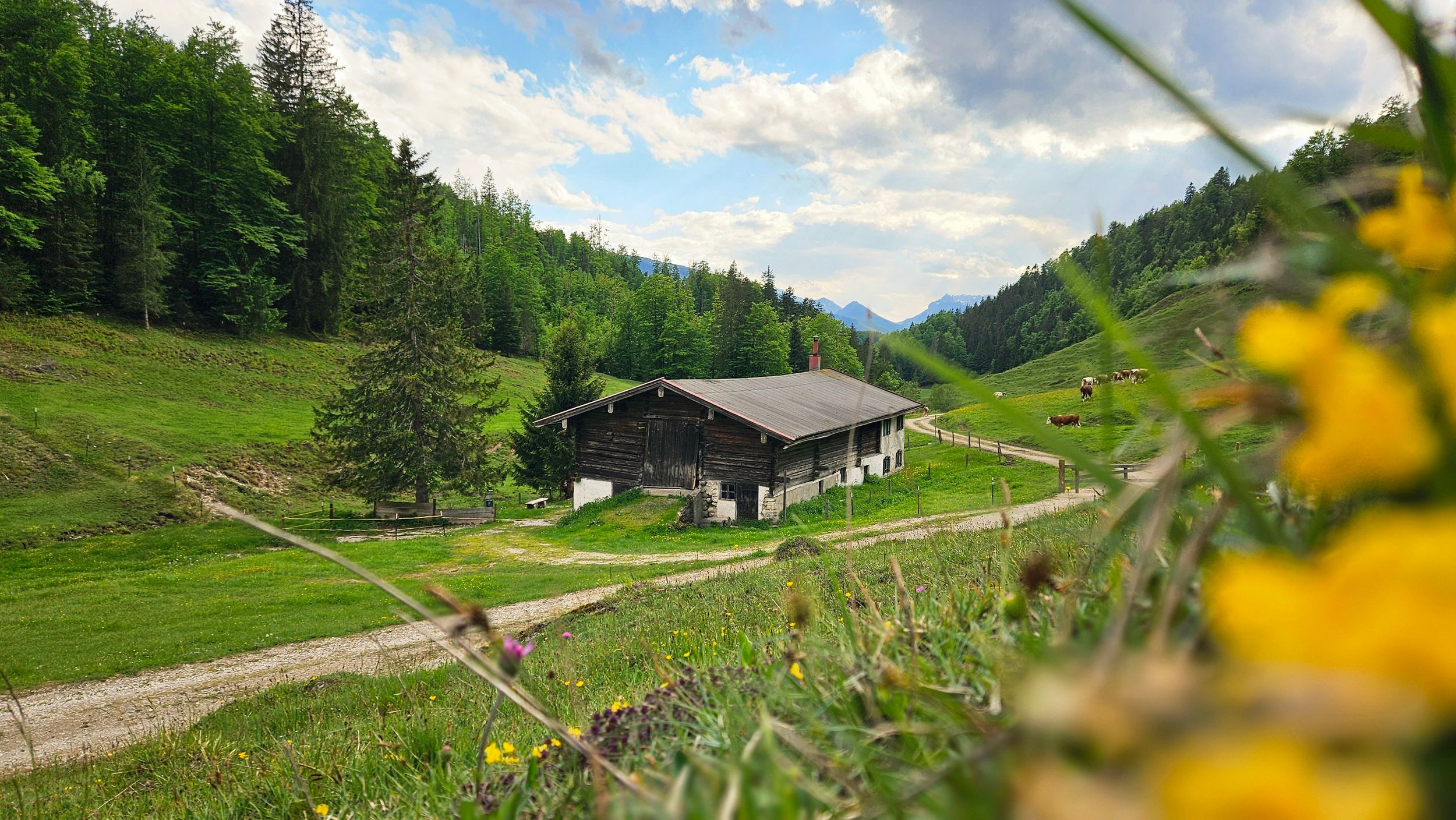 Jochbergalm