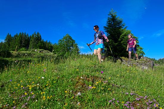 Kräuterwanderung