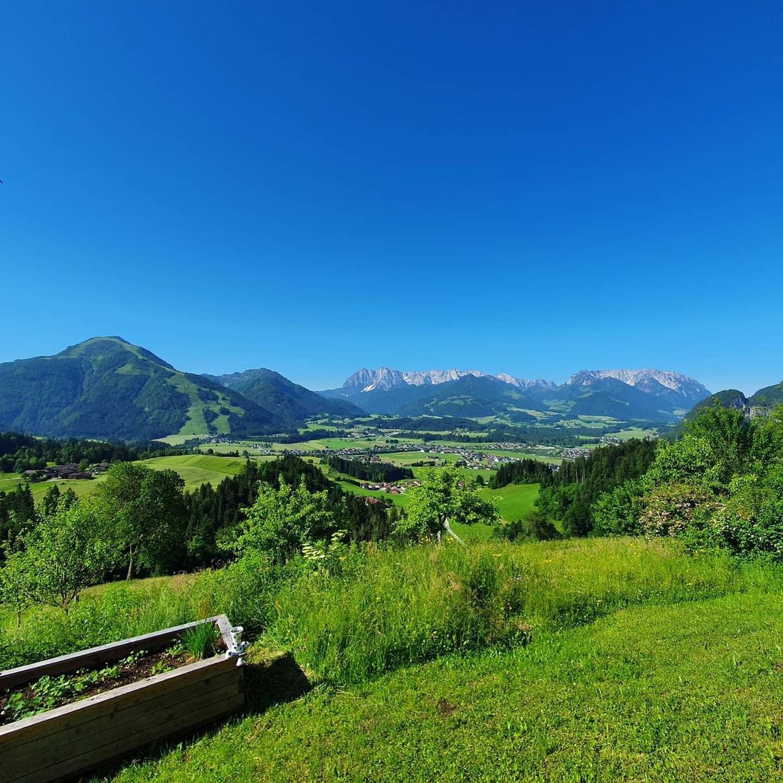 Panorama Sommer Jausenstation Mühlberghof © Jausenstation Mühlberghof