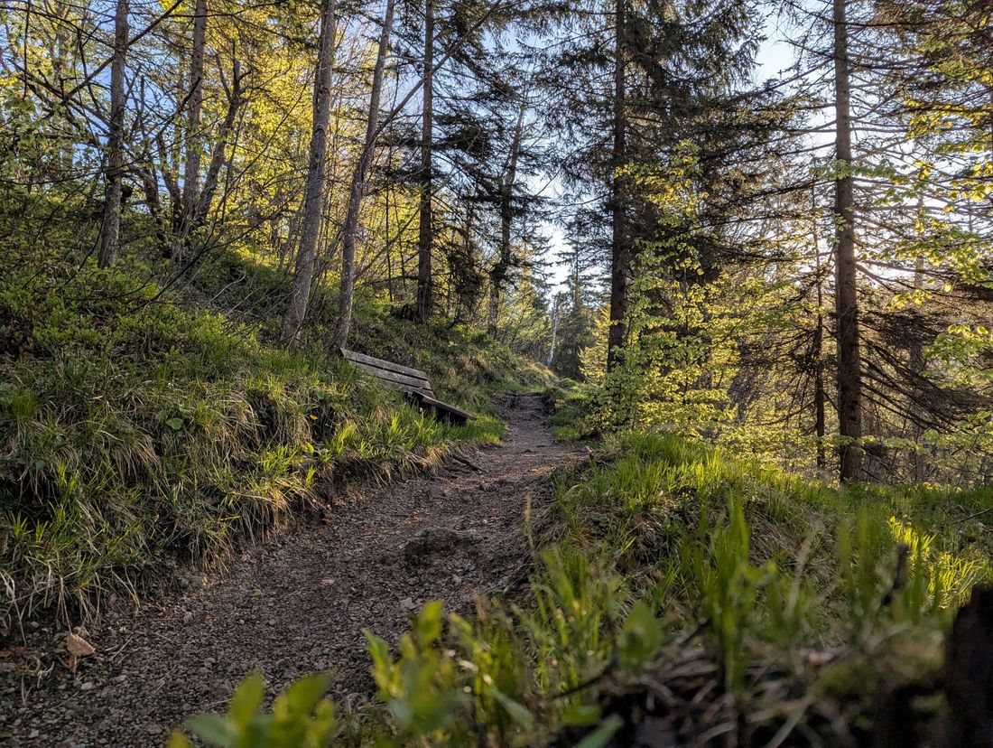 Chiemseeblick Wanderweg Frühling
