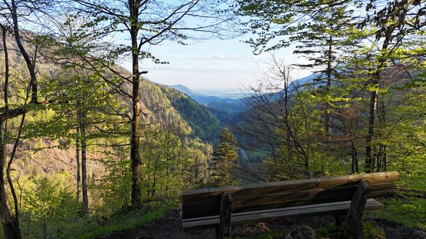 Kaiserblick Reit im Winkl