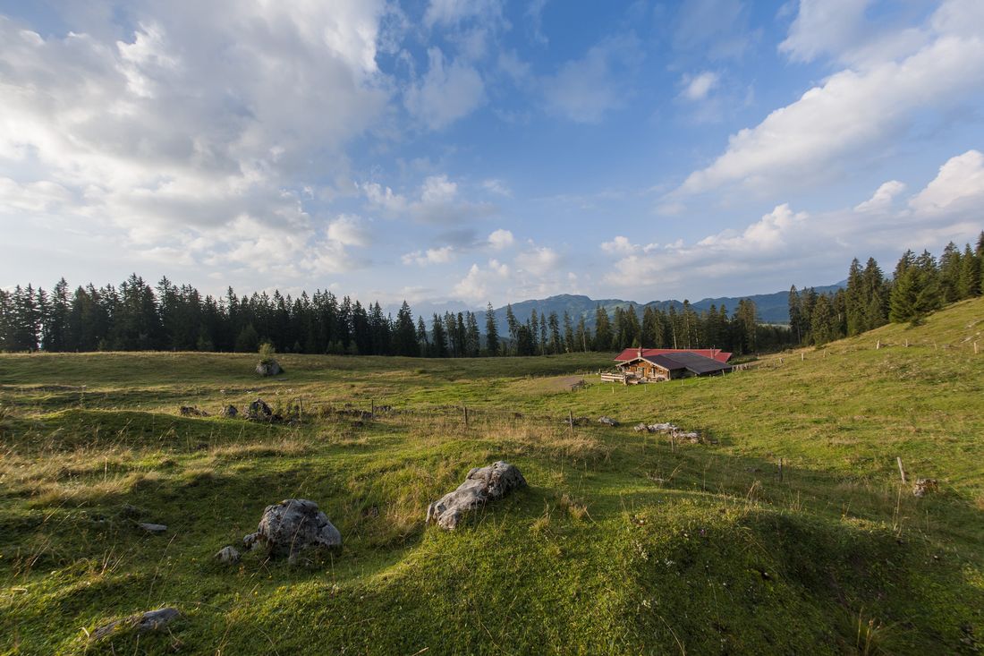 Finsterbachalm Wanderung