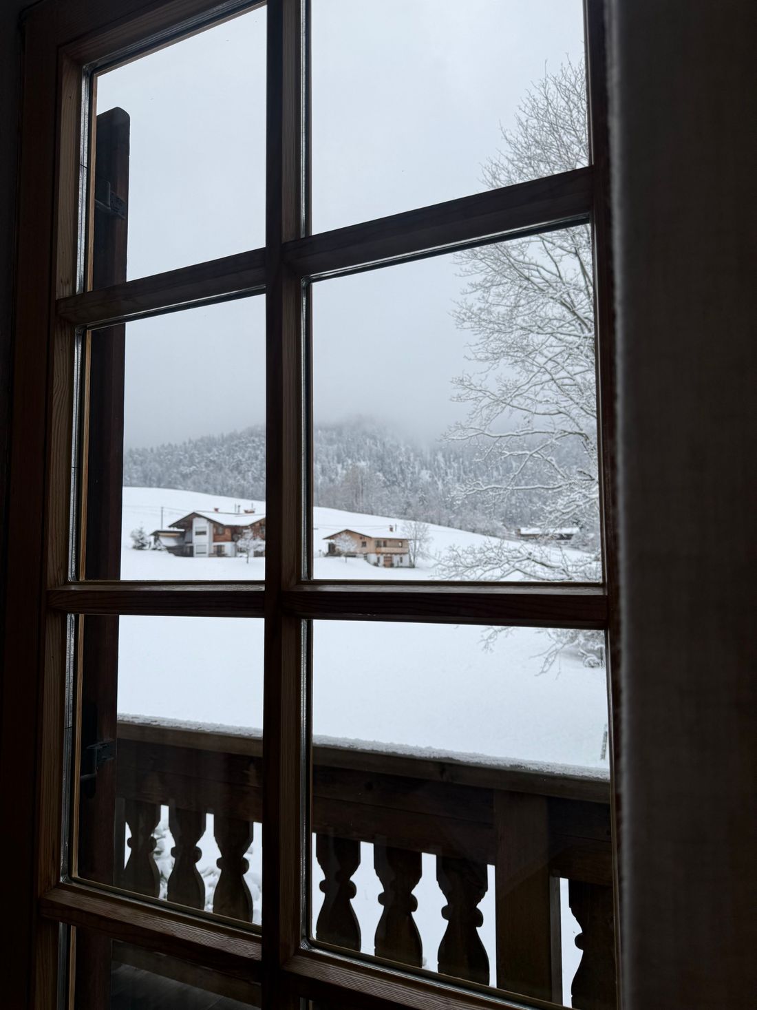 Winterfeeling