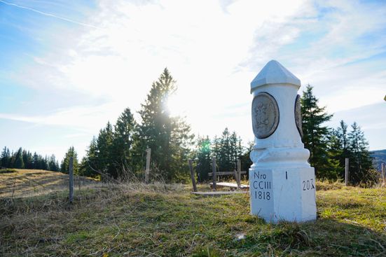 Grenzstein am Scheibelberg Winklmoos - Alm
