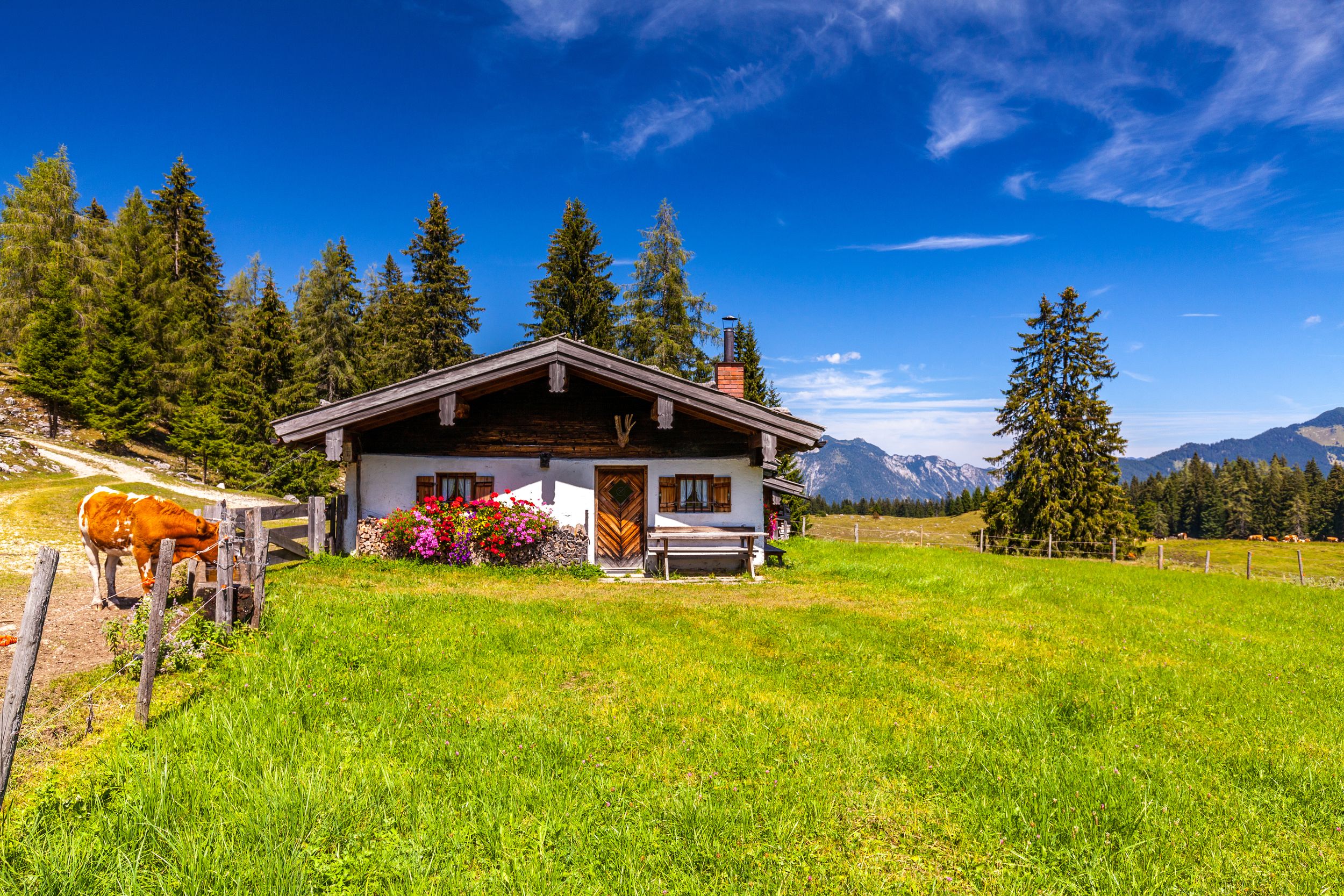 Hut on the Hemmersuppenalm