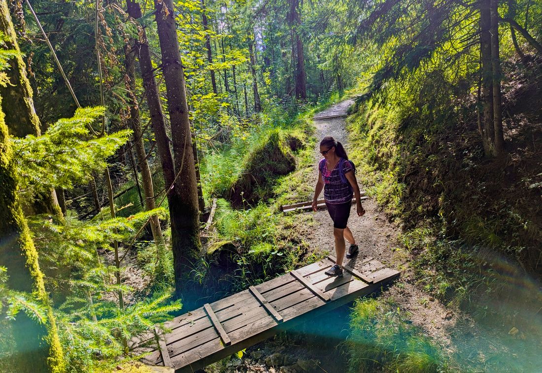 Premium Wanderweg Kapellensteig