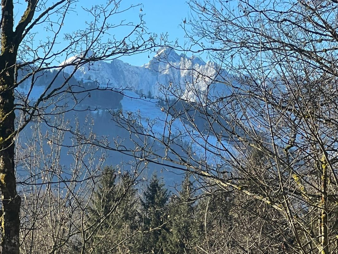 die Aussicht
