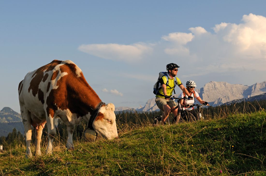 E-MTB Winklmoos - Alm