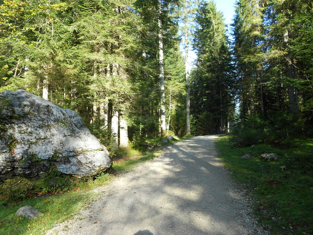 Wappbachtal