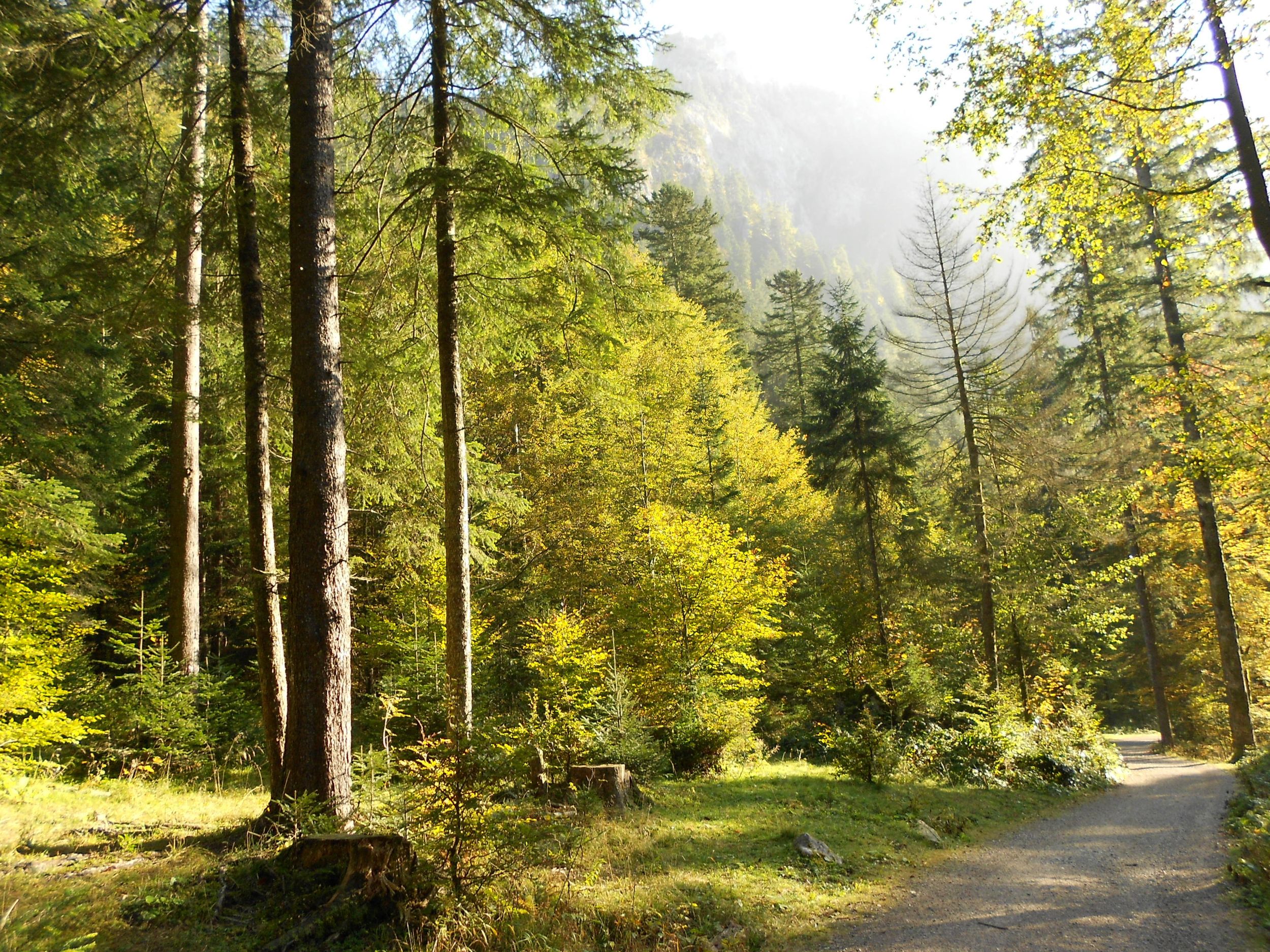 Wappbachtal