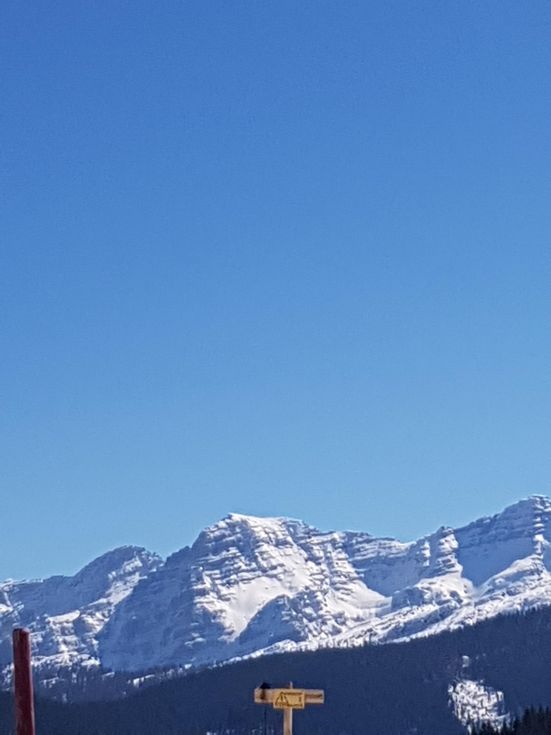 Blick