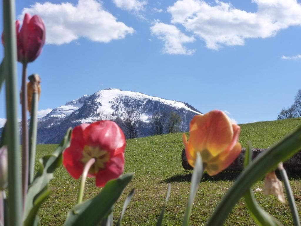 der Frühling